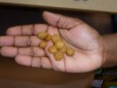 10.Des graines de jansan
