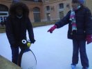 Heureusement, c'est l'arrivée des pingouins ! Nos sauveurs (...)